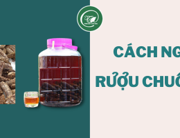 Cách ngâm rượu chuối hột chất lượng