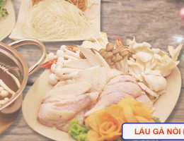 Cách nấu lẩu gà nòi hầm sản thơm ngon hấp dẫn cho gia đình