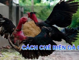 Cách chế biến gà chọi ngon ngọt mà lại đơn giản