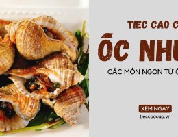 Các món ăn ngon từ Ốc Nhung