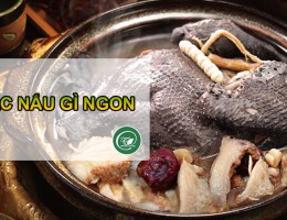 Gà ác nấu gì ngon ? Top 10 món ngon từ gà ác có thể bạn chưa biết