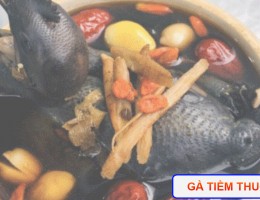 Cách làm món gà tiềm thuốc bắc thơm ngon dễ làm 