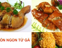 Top 21 các món ngon từ gà có công thức hướng dẫn cách làm