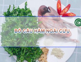 Bồ câu hầm ngải cứu