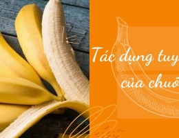 Những tác dụng “thần kỳ” của Chuối giúp nâng cao sức khỏe