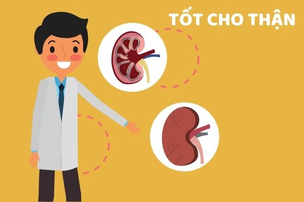 Cải thiện sức khỏe của Thận