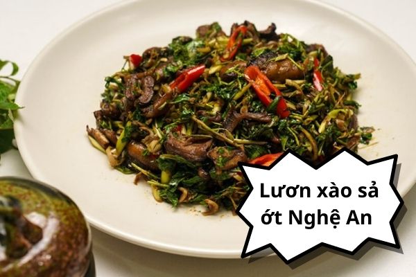 Hướng dẫn làm lươn xào sả ớt rau răm đúng chuẩn vị Nghệ An 