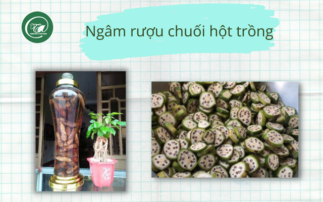 Ngâm rượu chuối hột nhà trồng