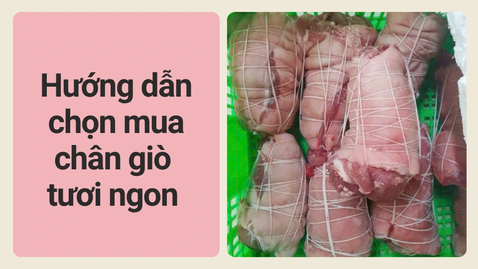 Hướng dẫn chọn mua chân giò tươi ngon 